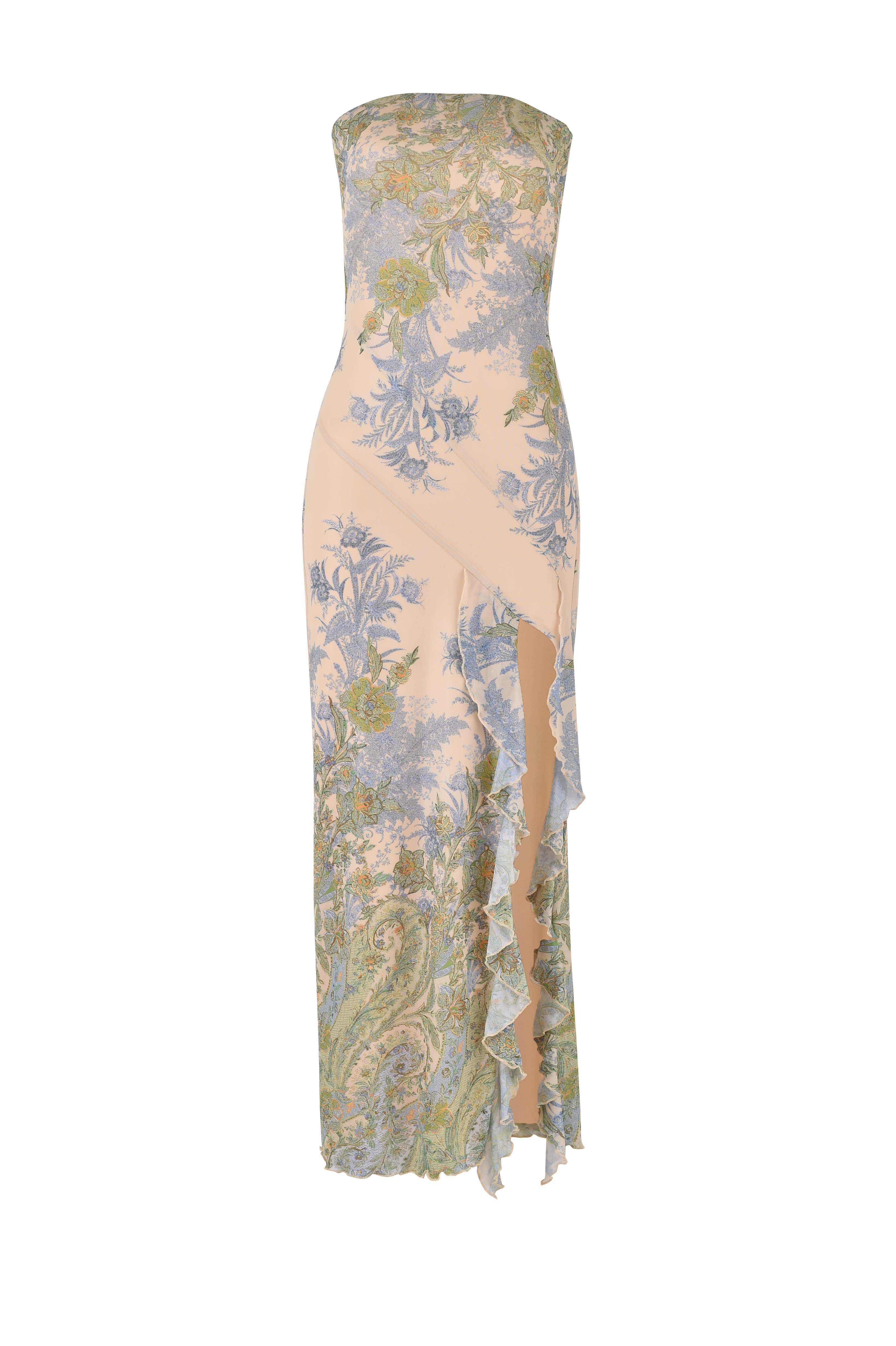 Thea | Paisley Mesh Bandeau Maxi Dress